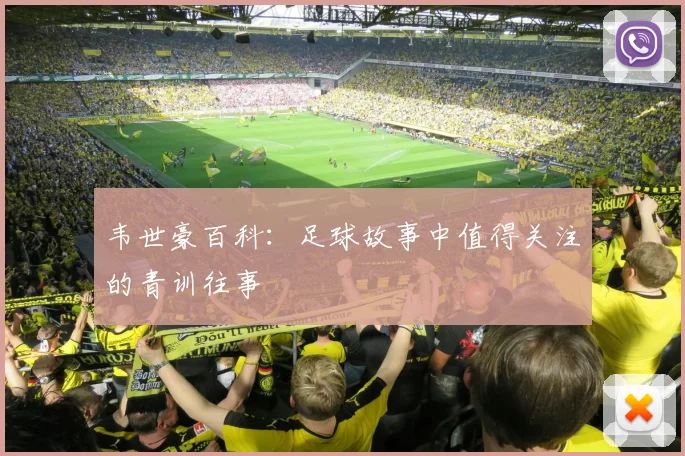 韦世豪百科:足球故事中值得关注的青训往事