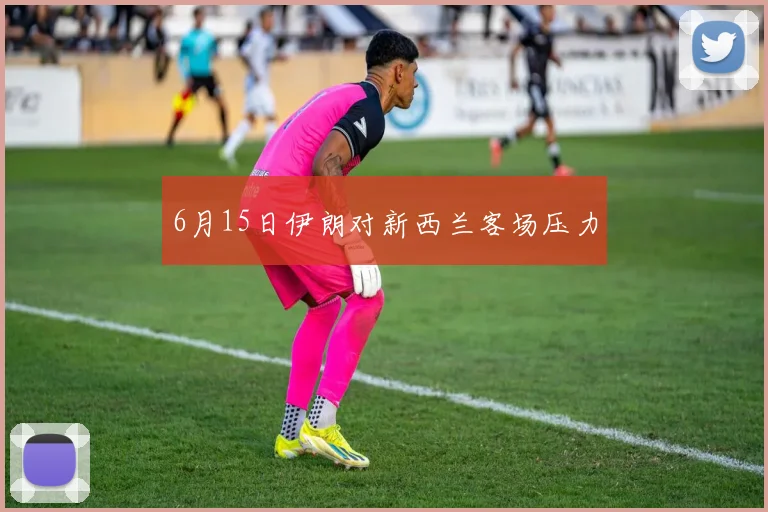 6月15日伊朗对新西兰客场压力